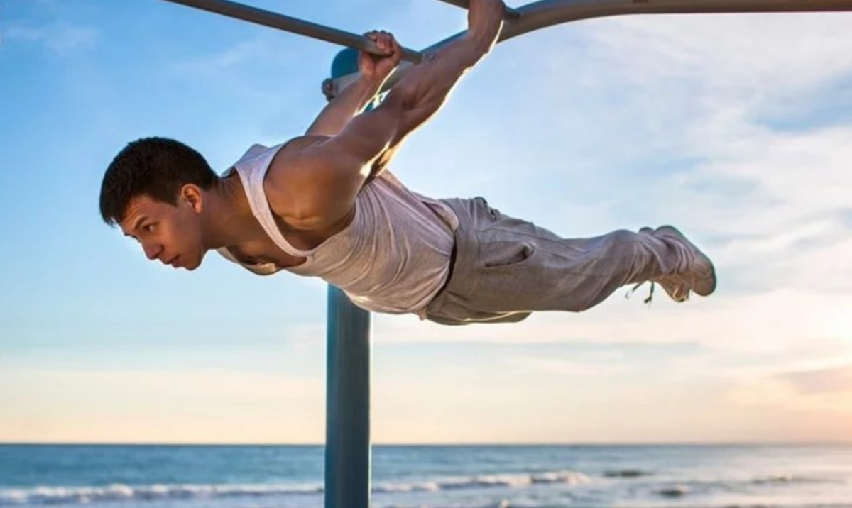 Так выглядит ласточка