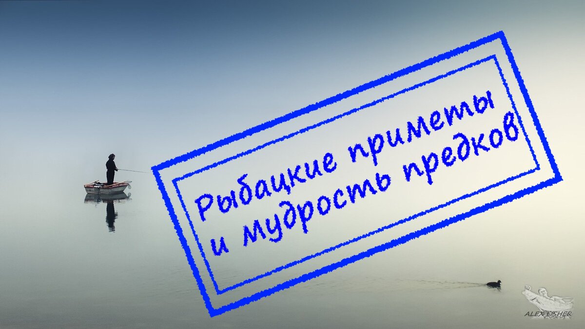 В рыбалке, поверьте мне примет не меньше чем в любом другом деле. И бывает, что поедешь с суеверным рыбаком, а он тебе и чихнуть не даст без разрешения. Да еще и по Фэн-шуй заставит чихать.