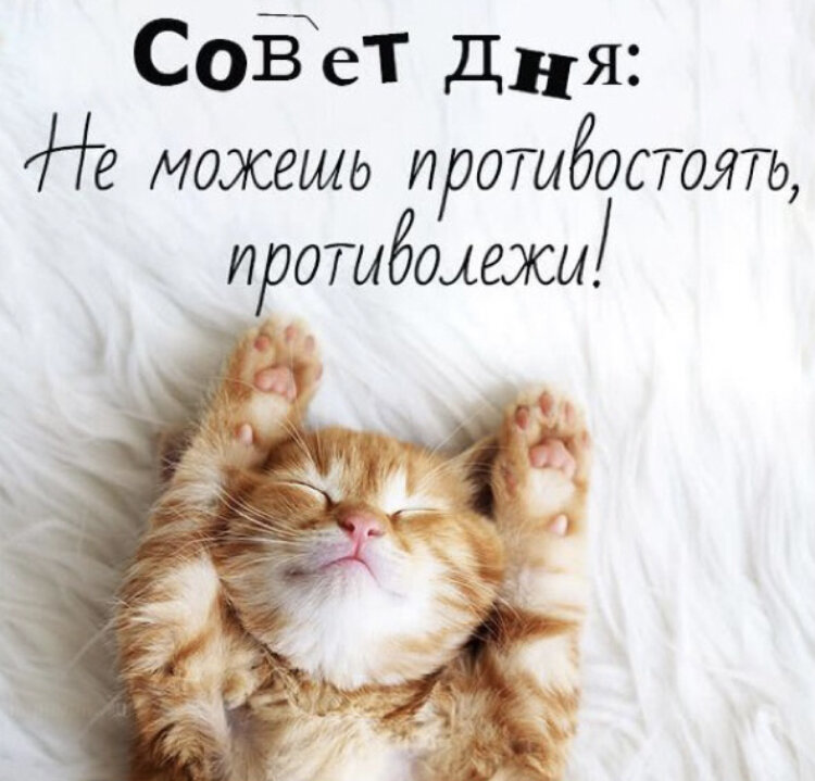 Из Яндекс.Картинки 
