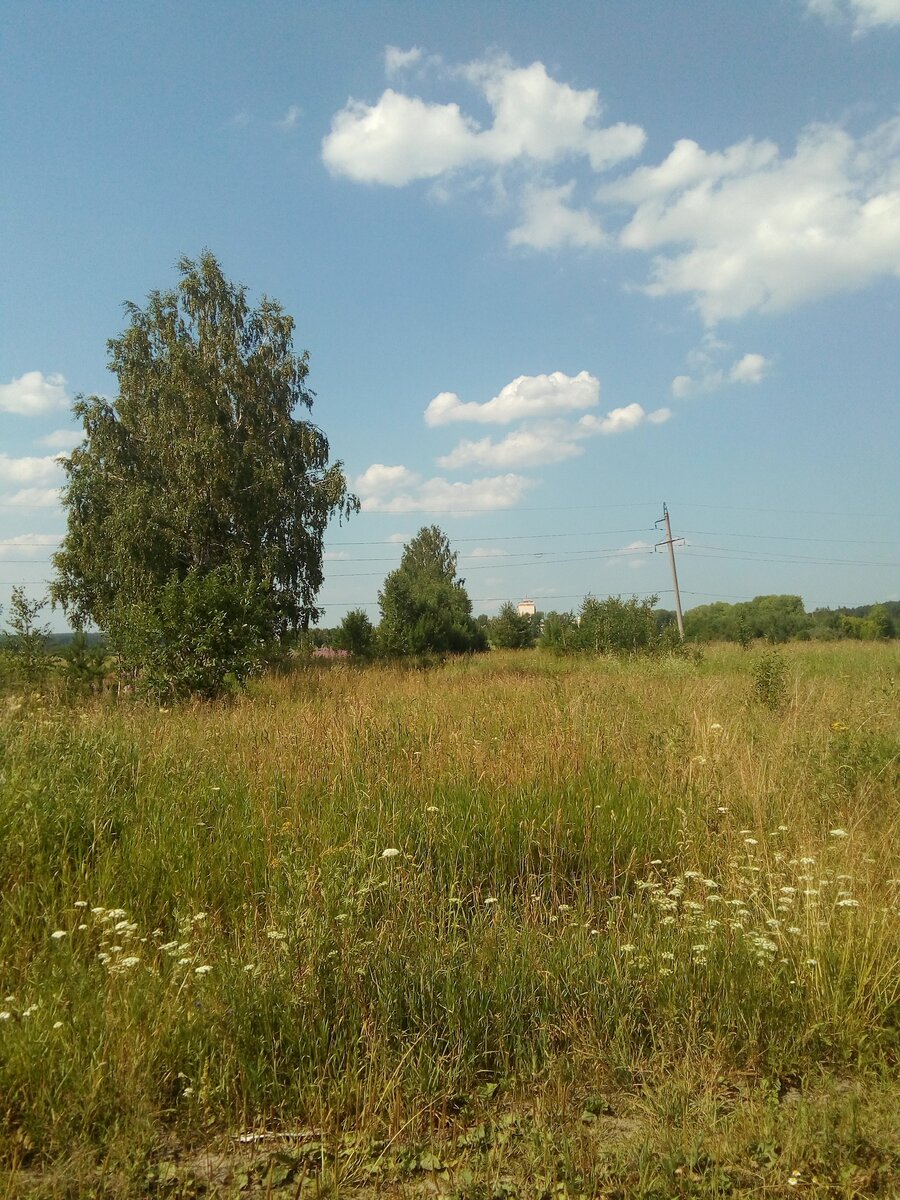 Просторы Калиновский полей - мы вас покидаем