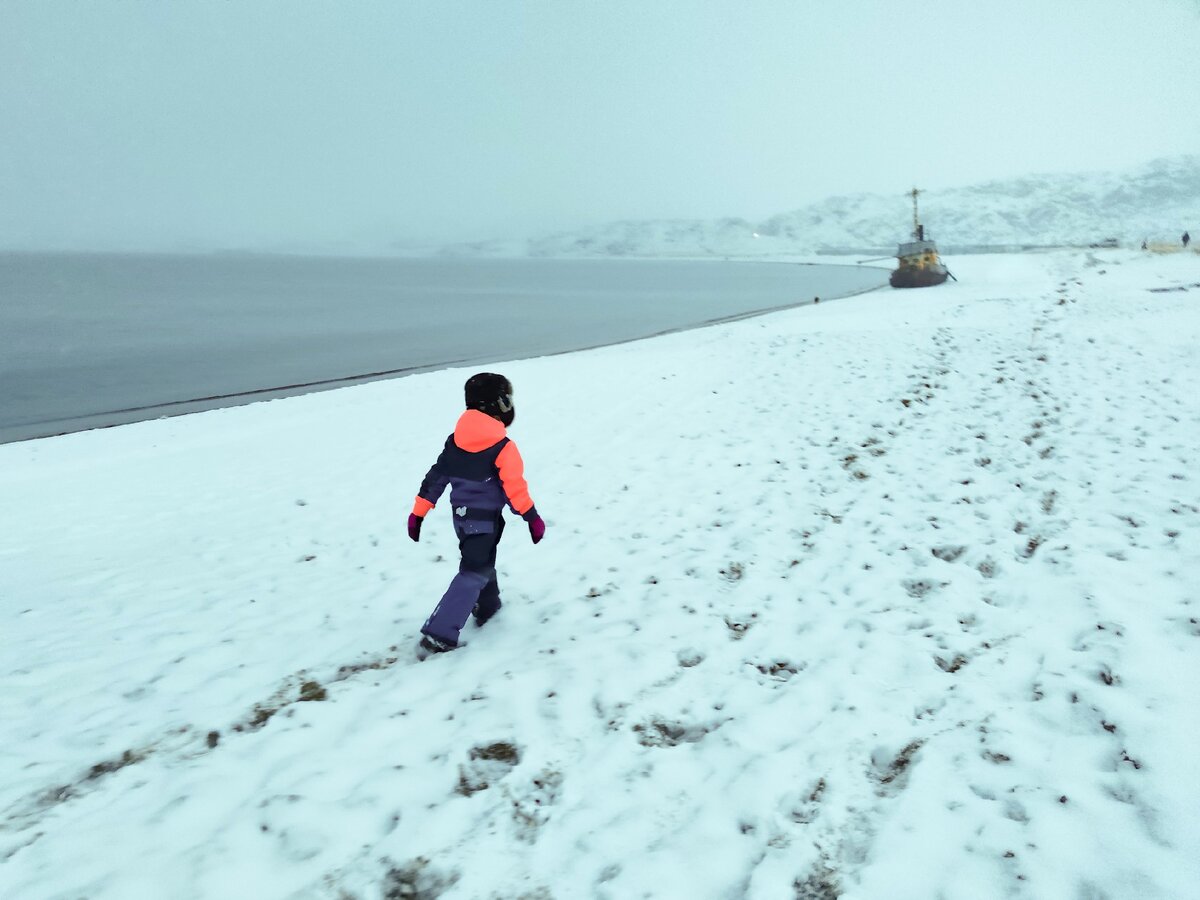 Отважный французский исследователь Арктики!