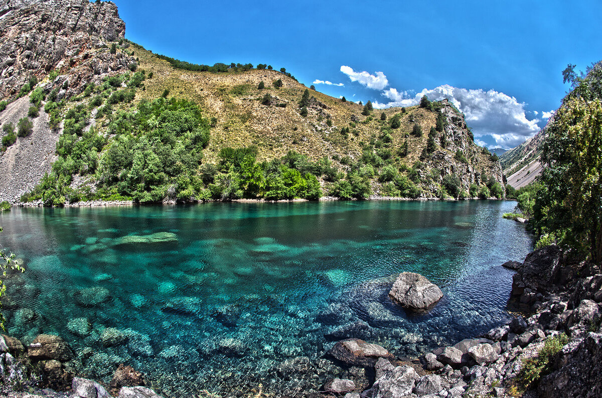 взято из Яндекс картинки