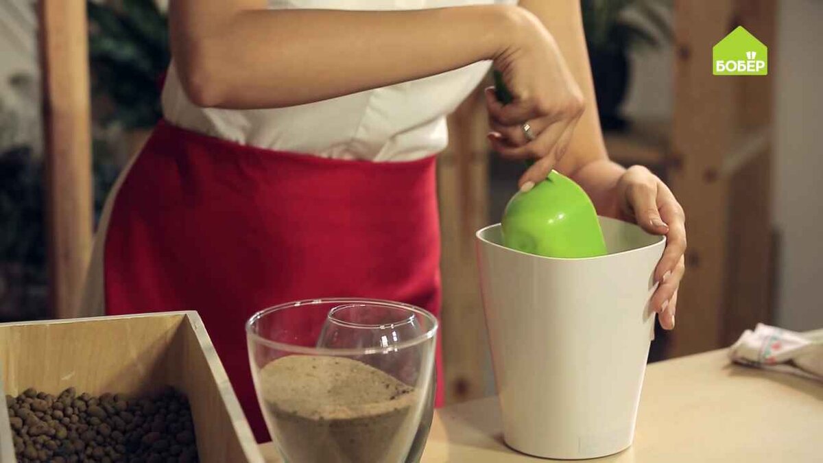 На дно кашпо насыпьте дренаж. Рекомендуется пересаживать это растение через неделю после покупки.