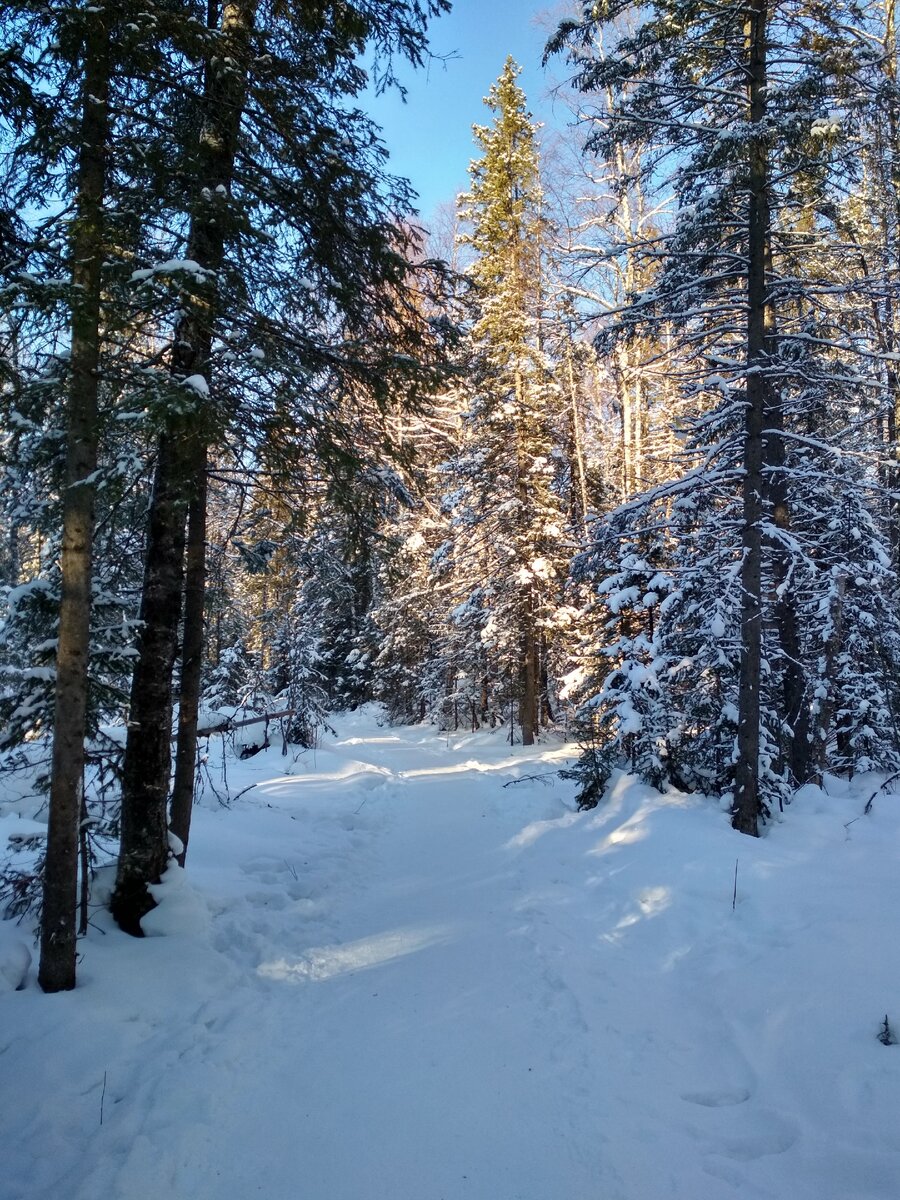 Экотропа в национальном парке Зюраткуль.