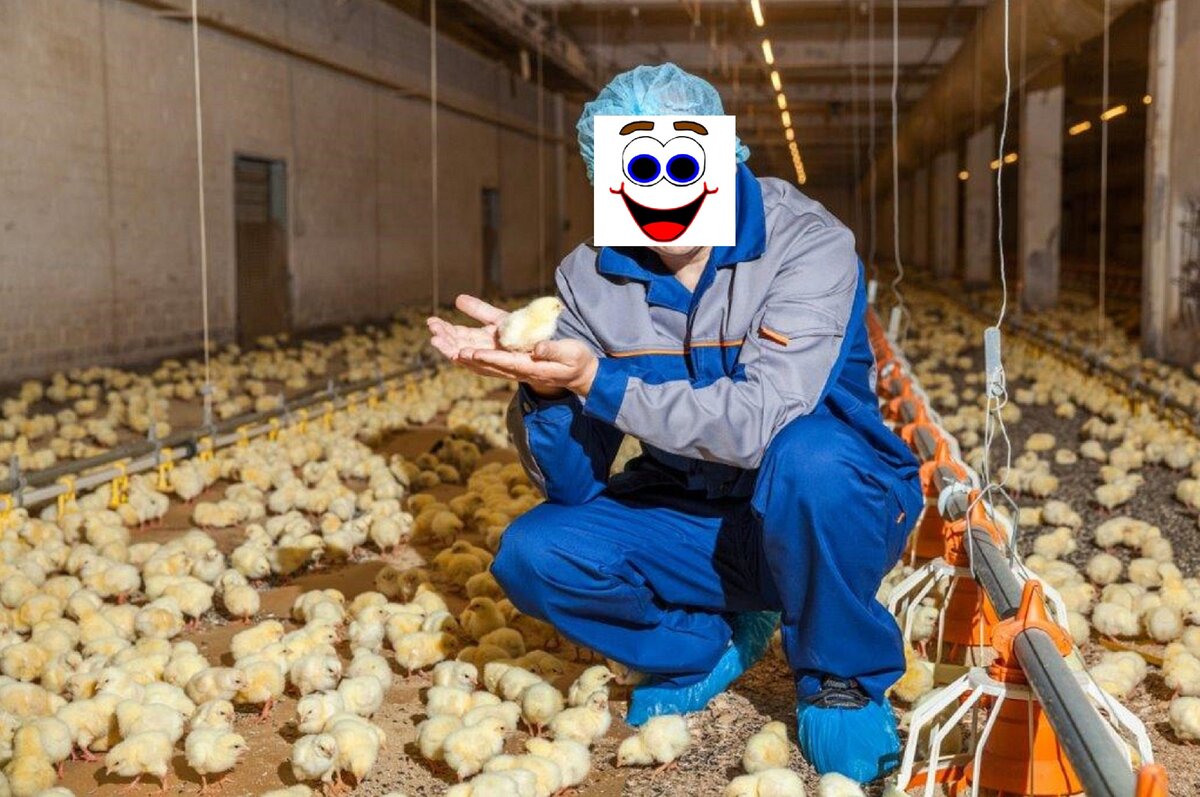 Скачано для иллюстрации из открытых источников, с Яндекс.Картинки