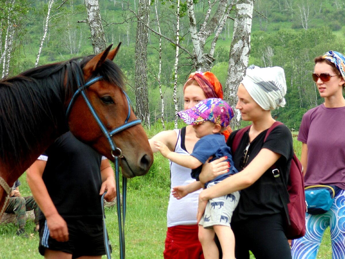 Ограничения по возрасту в конном туризме