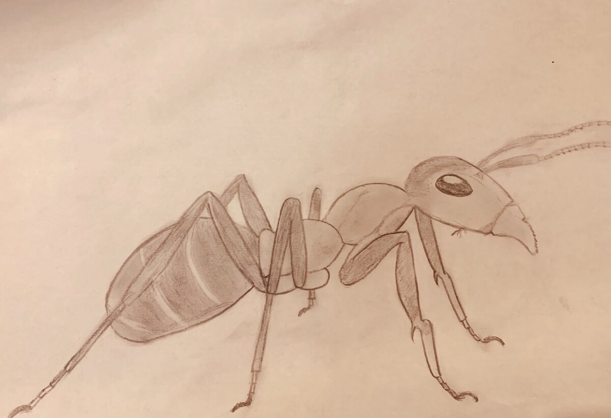 Картина моей жены, она не художница, но на мой взгляд получился настоящий шедевр.