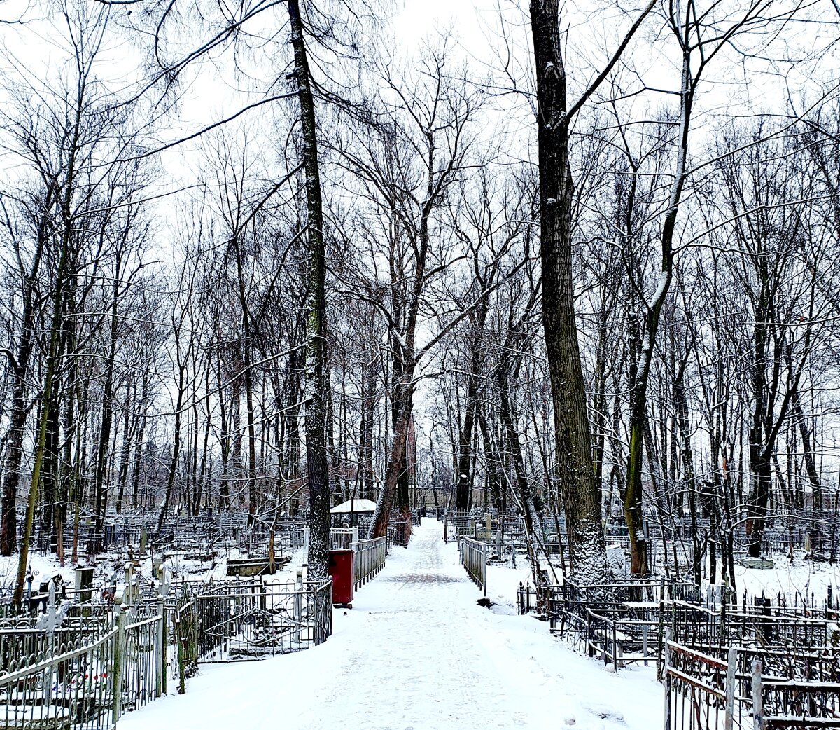 Кладбища не стоит бояться, оно - не зло (фото моё)
