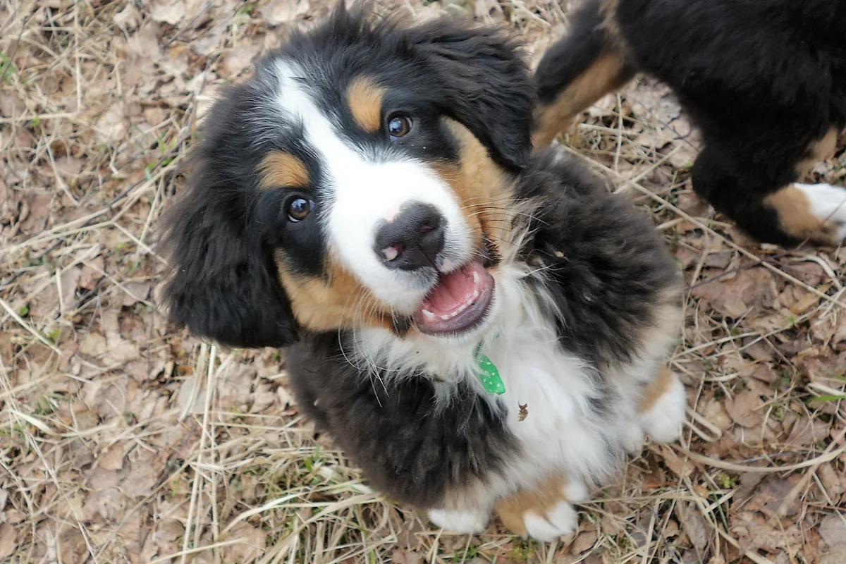 Полю 2 месяца