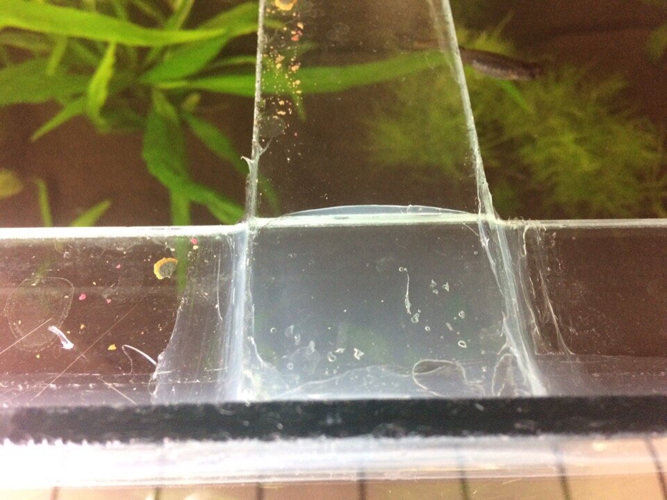 кустарные швы-но я и не профессионал. Но обязательно стану им)