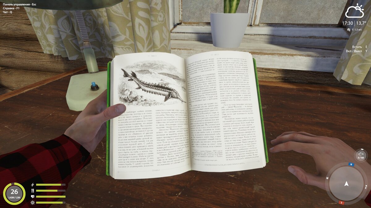 Вот она - книжечка из игры. Пользы от неё - маловато)))