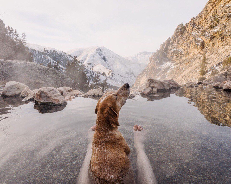 Мэдди купается