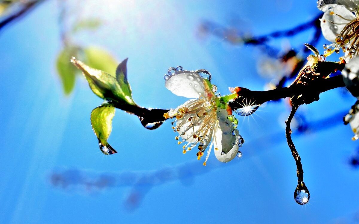 Увидеть даже в простом можно невероятные вещи!