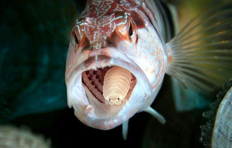 Вытащите это из меня