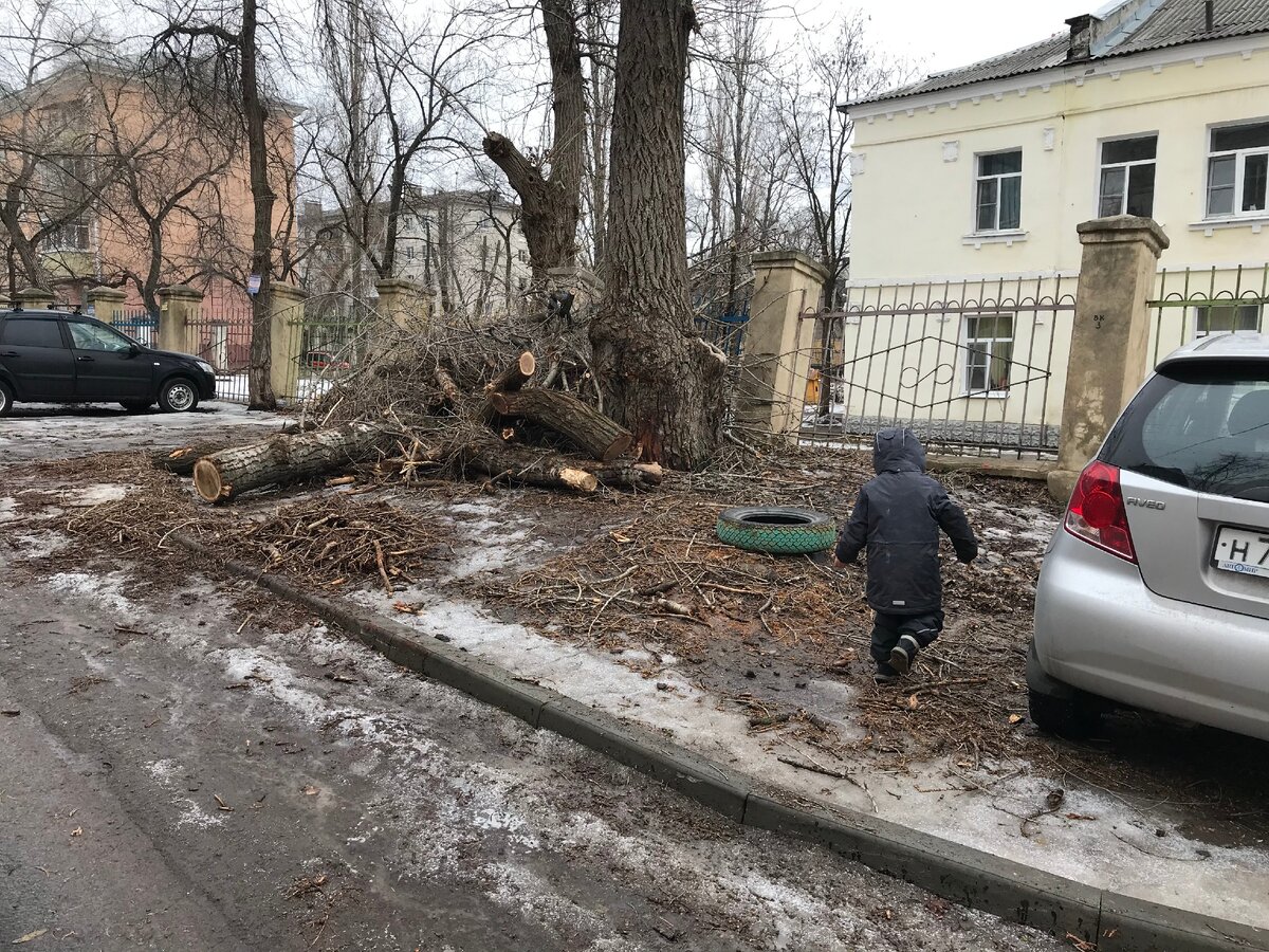 Меркулова 2. Комфортная городская среда в Воронеже | Удобный Воронеж | Дзен