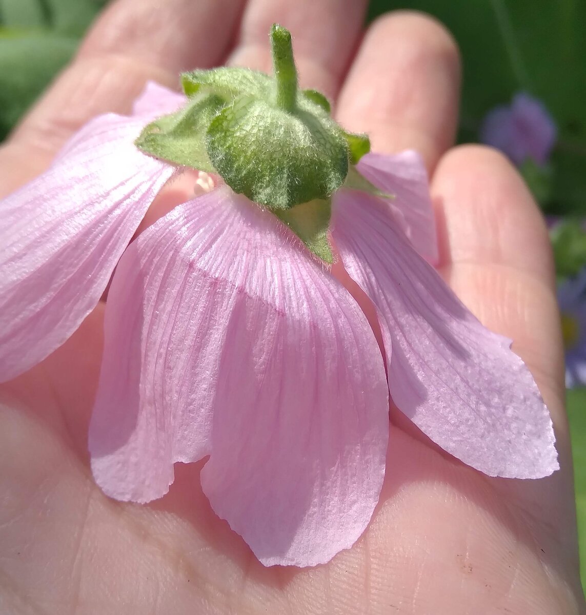 Кукла из живых цветов