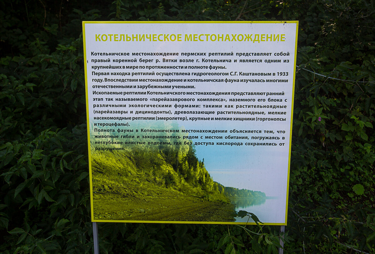 Динозавры в Кировской области: да, вполне реальный факт. Показываю Динопарк  в городе Котельнич и рассказываю, почему он тут | Уникальная Россия | Дзен