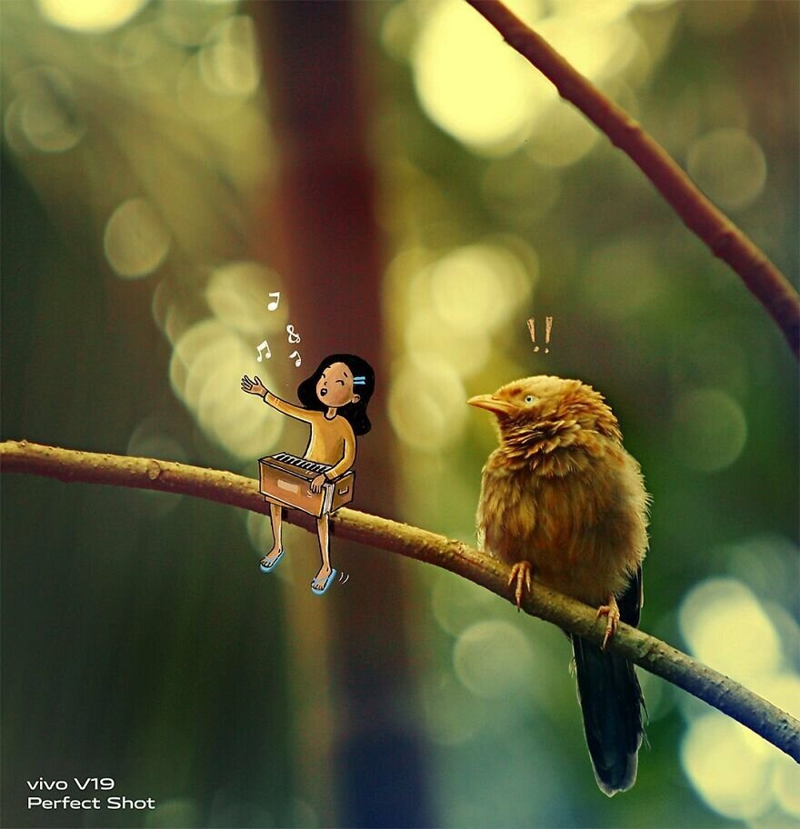 Фото: Vimal Chandran  