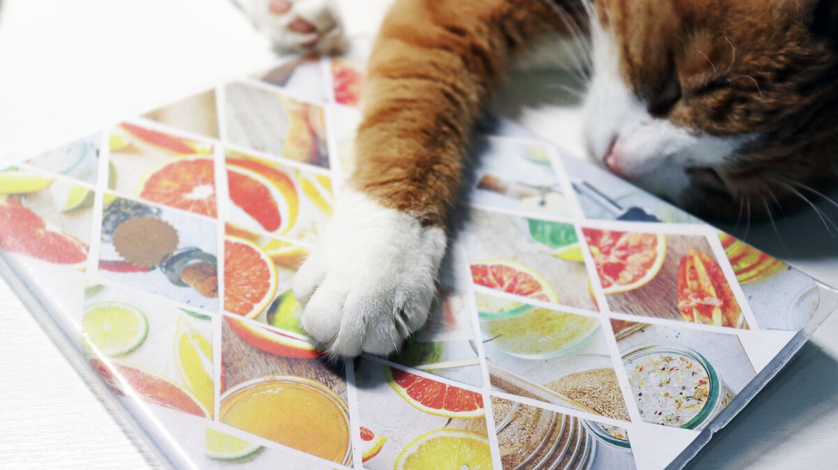 Люся пришла помогать