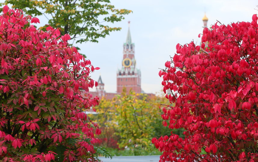 Раскололось небо на осколки, Слив на полный ноль сезон дождей. Ветерка залётного наскоки Стали и проворней, и смелей. - Разогнал небесных постояльцев Слёзы проливать за горизонт.