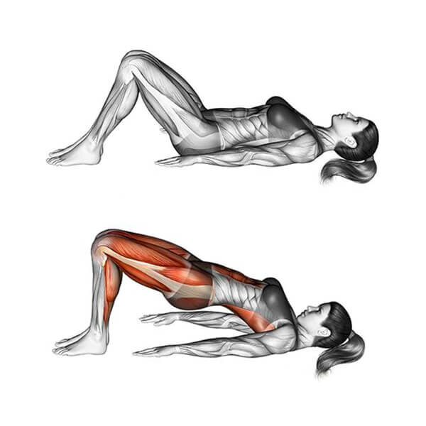 Техника выполнения ягодичного мостика