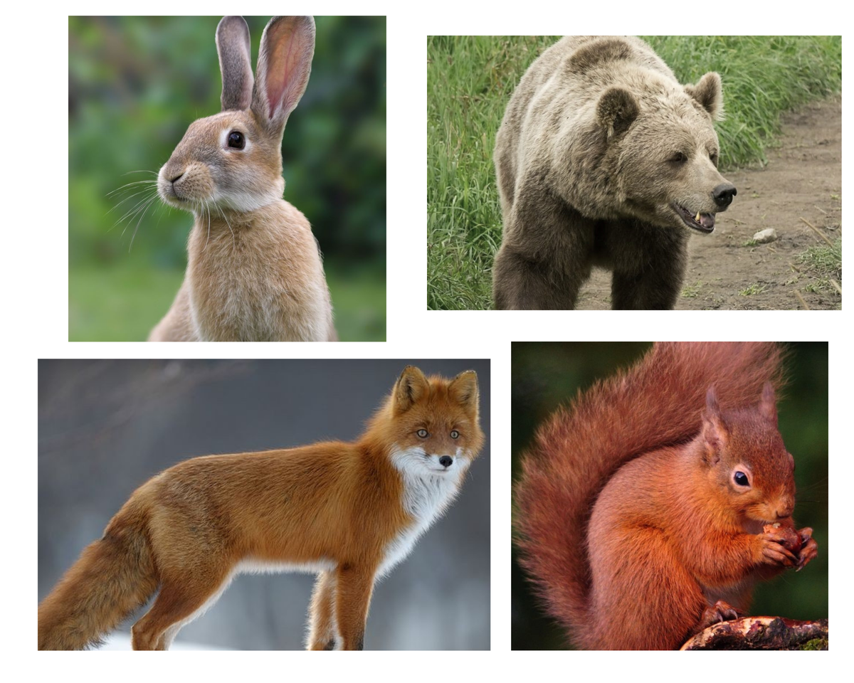 Экспресс-тест "Что ждёт в будущем" 