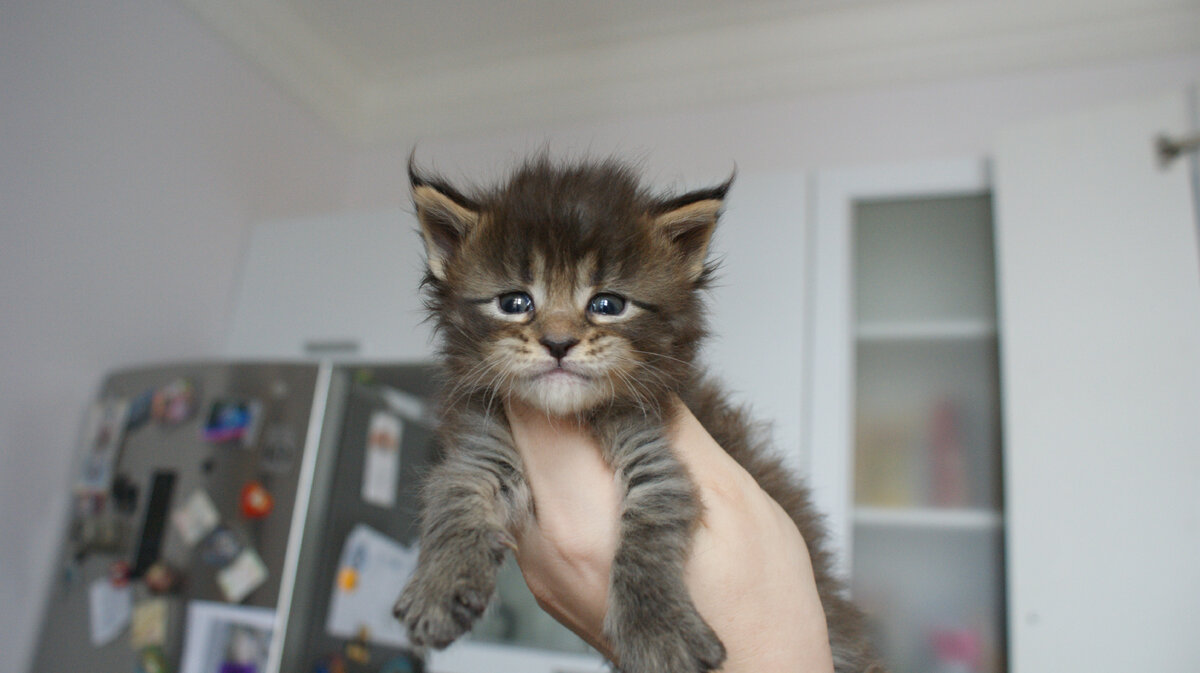 Фото из личного архива.