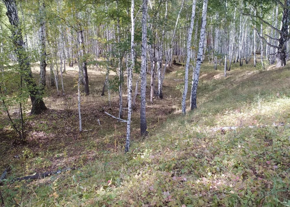 Нашел место с высоким уровнем природной красоты1