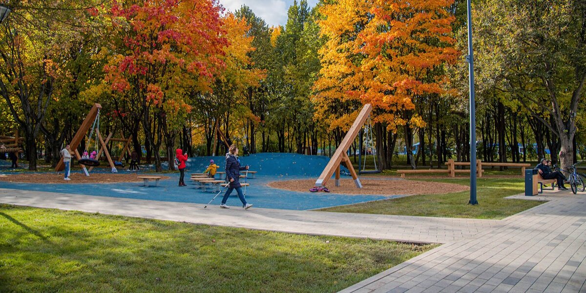 Исследование Greenpeace проводилось без учета «новой Москвы» и нацпарка «Лосиный Остров». Фото М. Денисова. Mos.ru  
