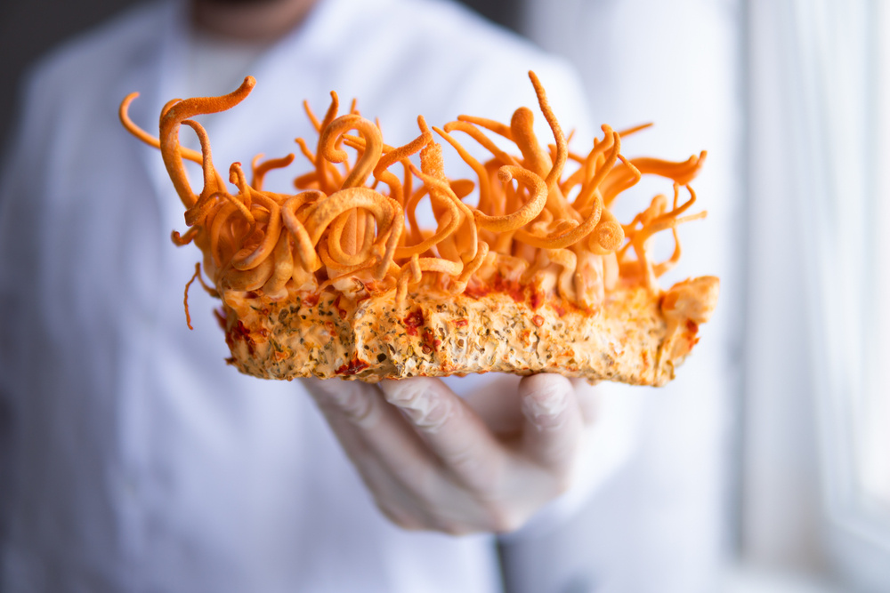 Фото с сайта https://hightech.fm/2021/10/11/himalayan-fungus