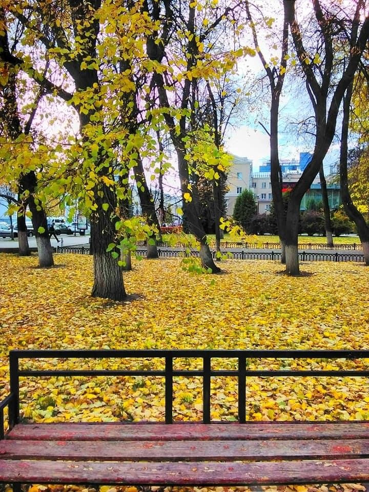 Фото осени из личных фотографий