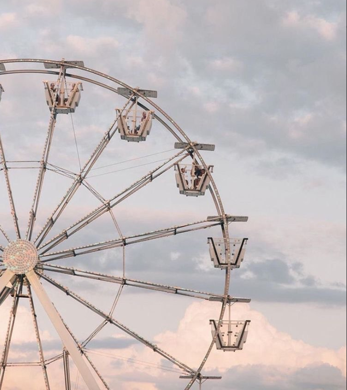 В погоне за предназначением