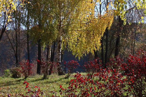 Зубцов. В парке. Фото С. Рысенковой 10.10.2021