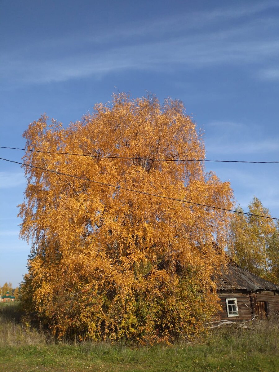 Дюжина царских ножей в упаковке, из дореволюционного дома под снос, и  кое-что из эпохи Сталина... | Владимир Артамонов | Дзен