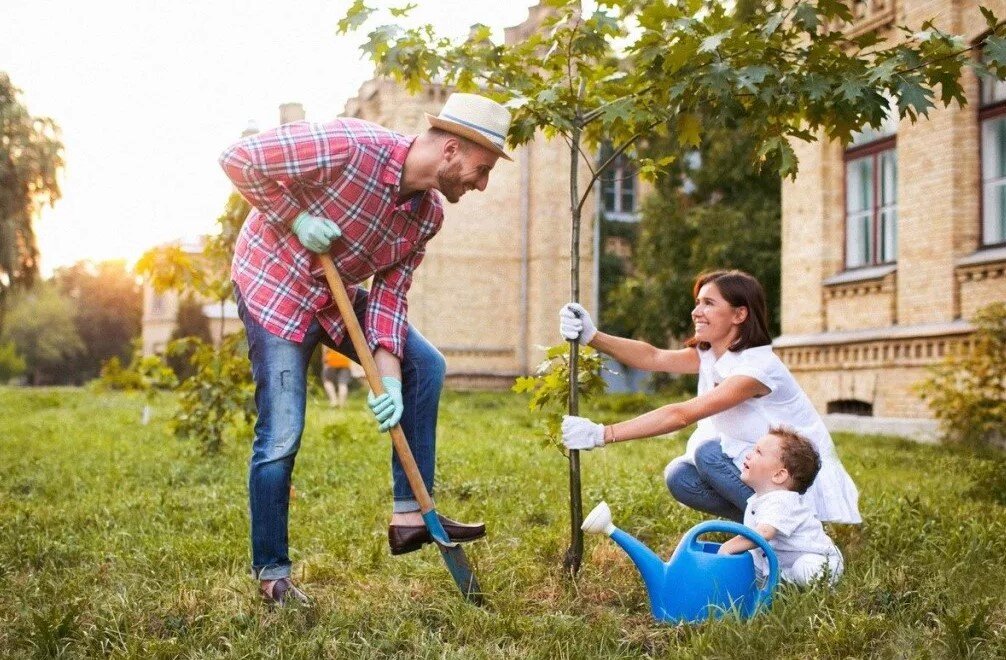 Руки домиком. Посадить дерево построить дом и вырастить сына. Построил дом сына. Построил дом сына. Построил дом сына.