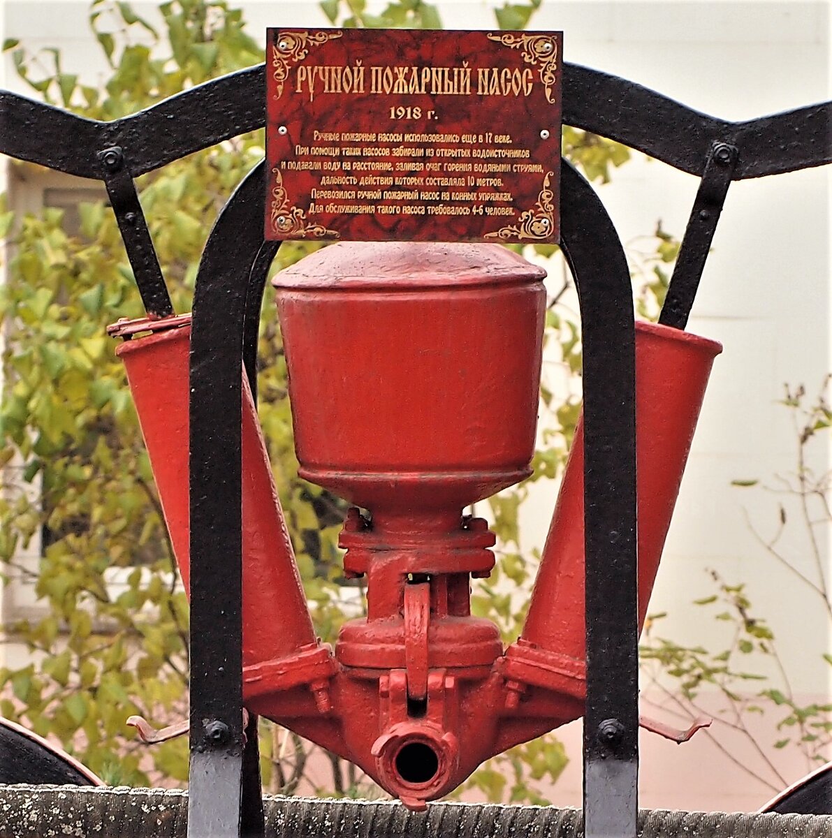 Фото автора