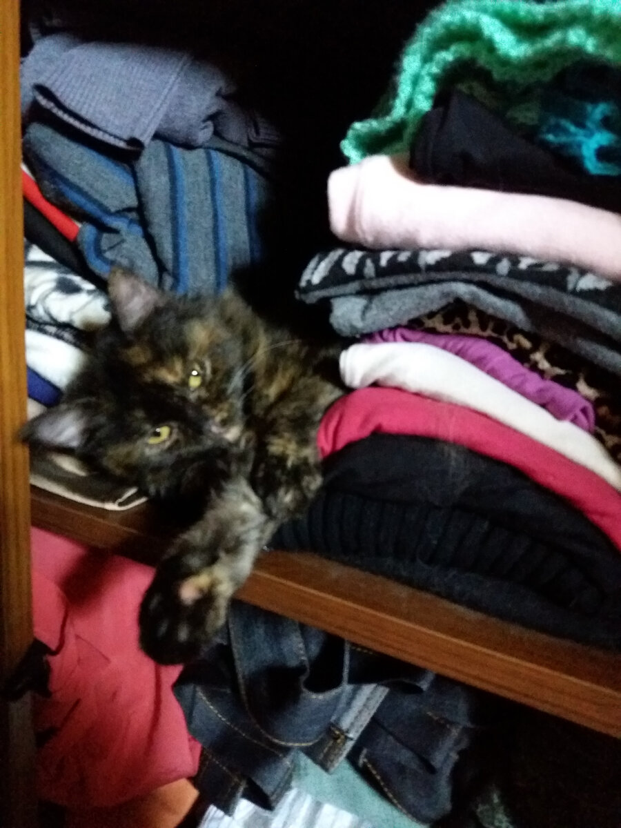 Любимая полка Гретты