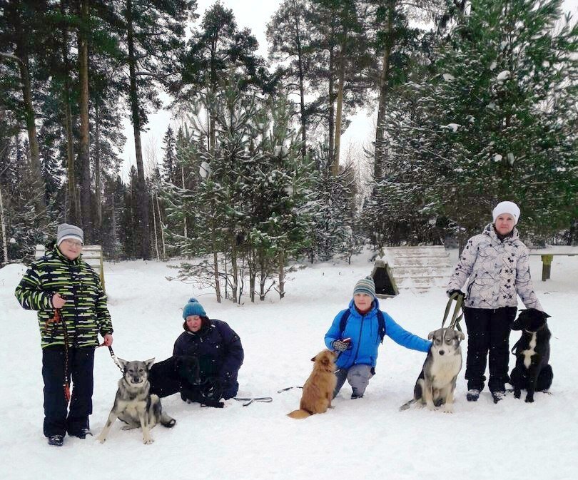 Наши волонтеры на занятиях по дрессировке собак. Фото с переменки