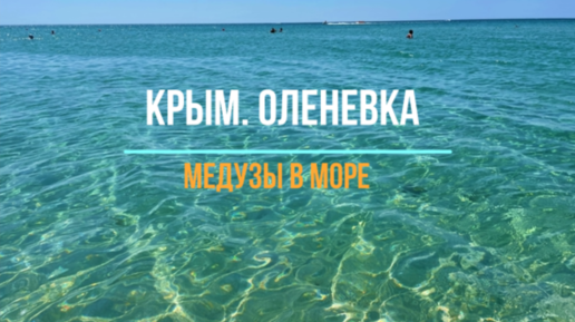 Чистый Крым. Прозрачное море в Оленевке. Медузы