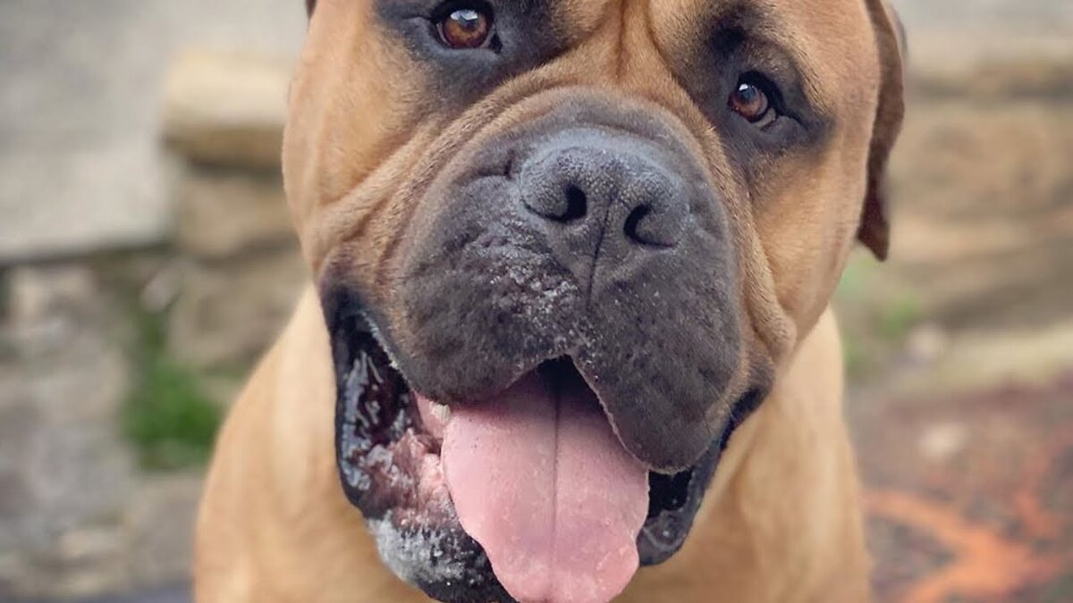 Источник фото сайт - https://clck.ru/apggC