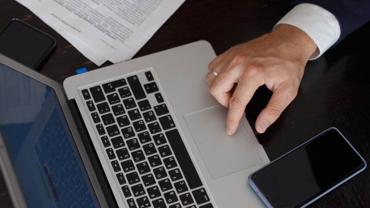 Изучите ценовую политику рынка, качество и количество сдающихся объектов.