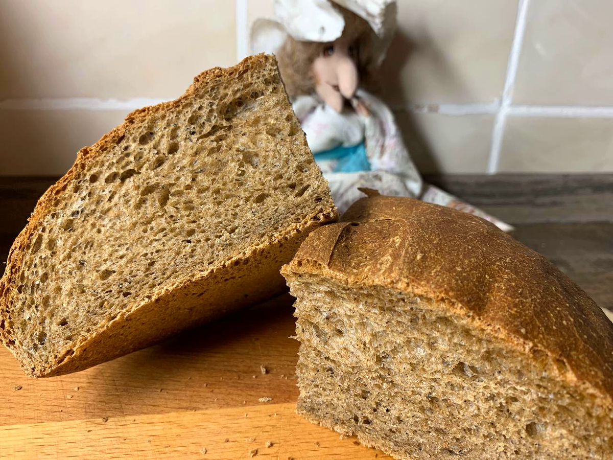Плесневый хлеб. Хлебная плесень. Хлеб столичный. Хлеб с плесенью для школьников. Ела хлеб с плесенью