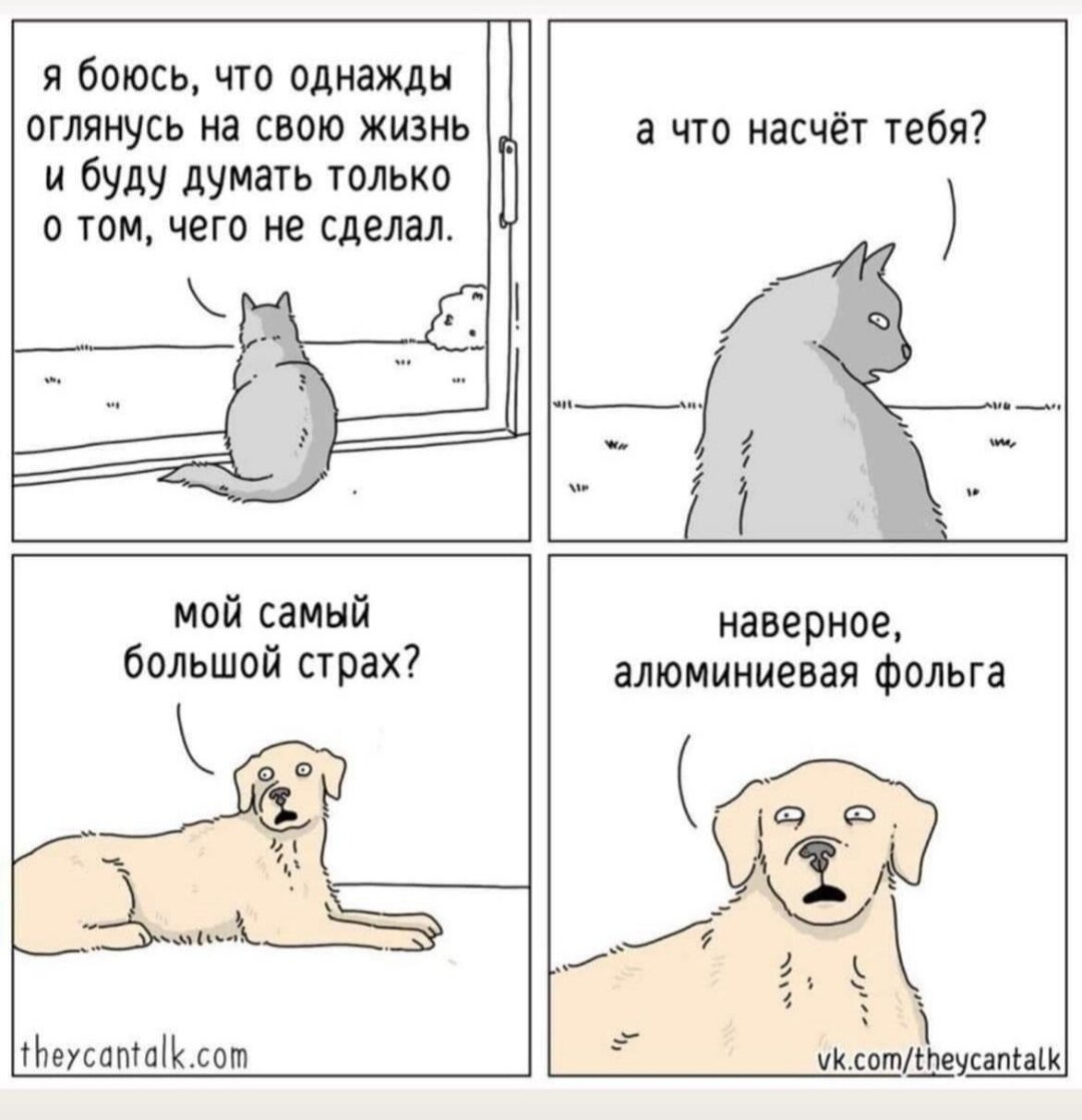 Коты - они мистические какие-то. Да простят меня собачники, но мне коты кмдутся мудрее