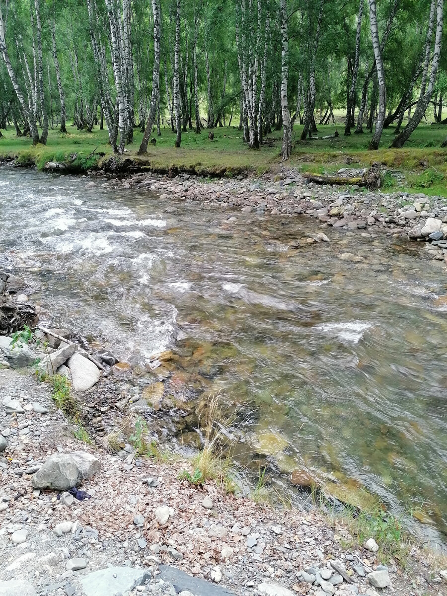 Пашкова Екатерина, МБОУ "Новобурановская СОШ", с. Новобураново, Пейзажная съемка