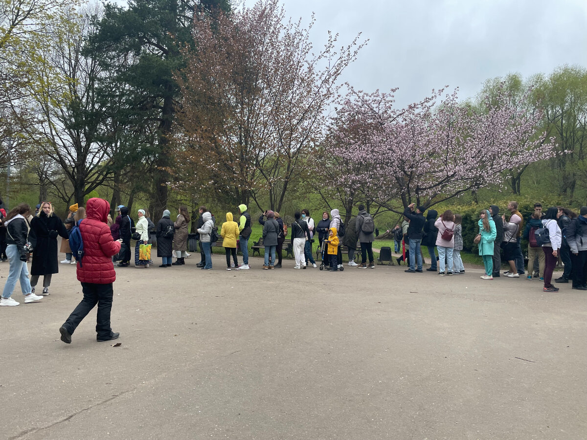 Очередь в Японский сад