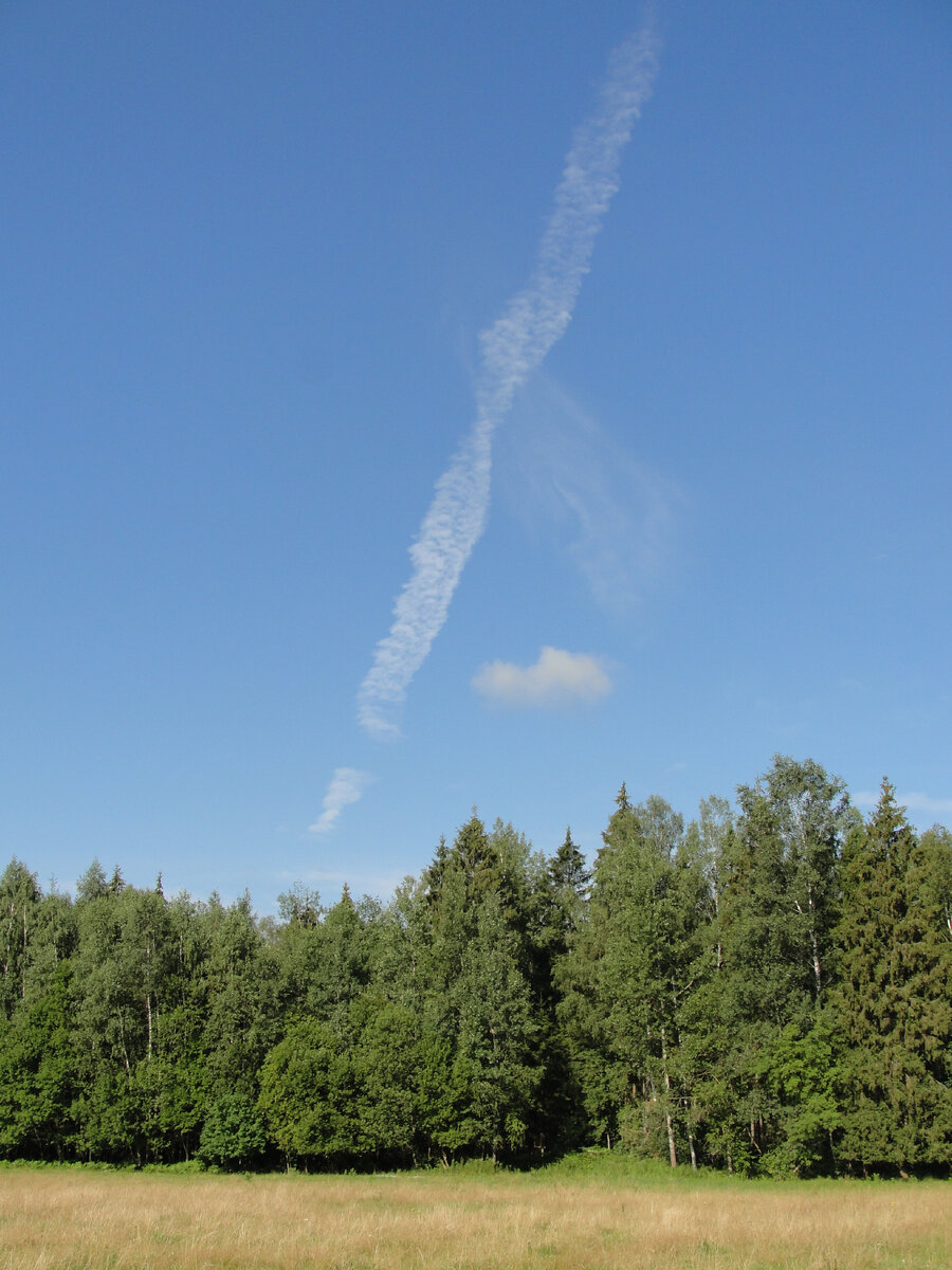 2010. Фото Старого Солдата.