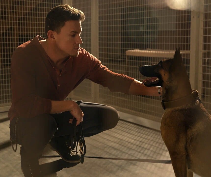 Кард из фильма «Лулу и Бриггс» взят с kinopoisk.ru