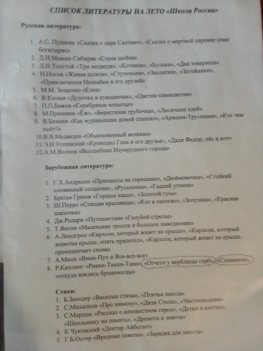 Нужны ли задания на лето школьникам по общеобразовательной программе? | Мои  цветы жизни | Дзен