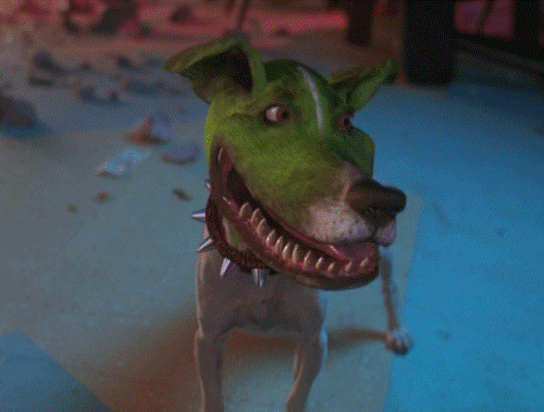 Источник фото - https://sobakino.com/