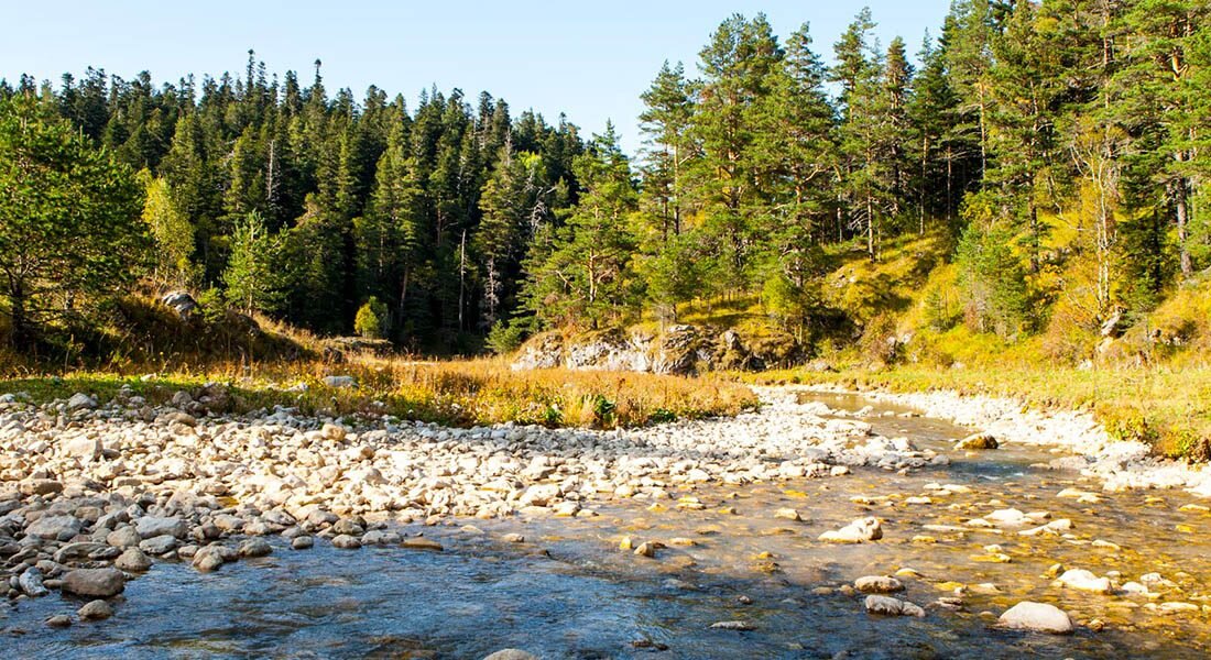 Река Курджипс на плато Лагонаки (lagonaki.ru)